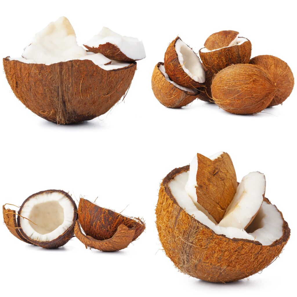 Collage of broken coconut pieces isolated on white background