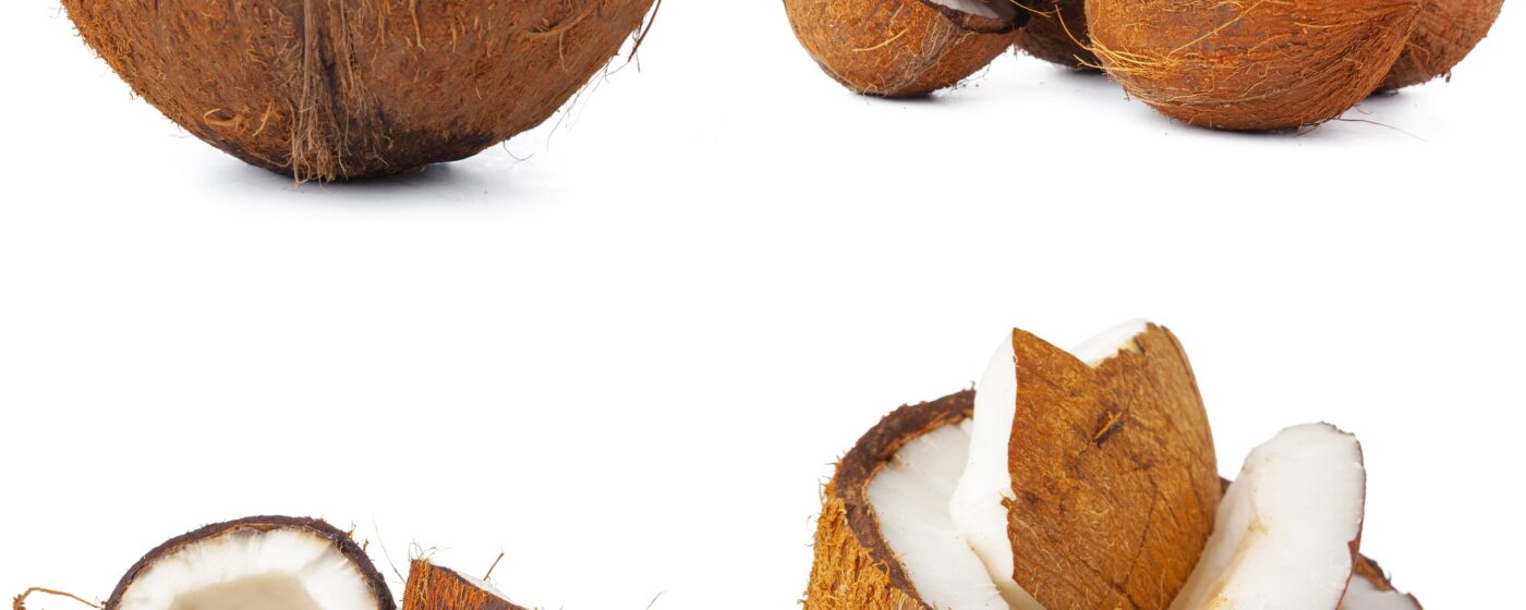 Collage of broken coconut pieces isolated on white background